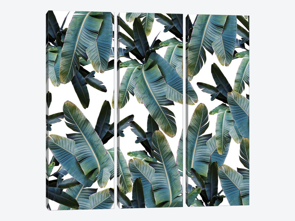 Tropical Banana Leaves Jungle IV by Anita's & Bella's Art 3-piece Canvas Print