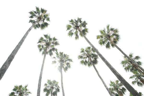 Anita's & Bella's Art: Under The Palm Trees II by Anita's & Bella's Art