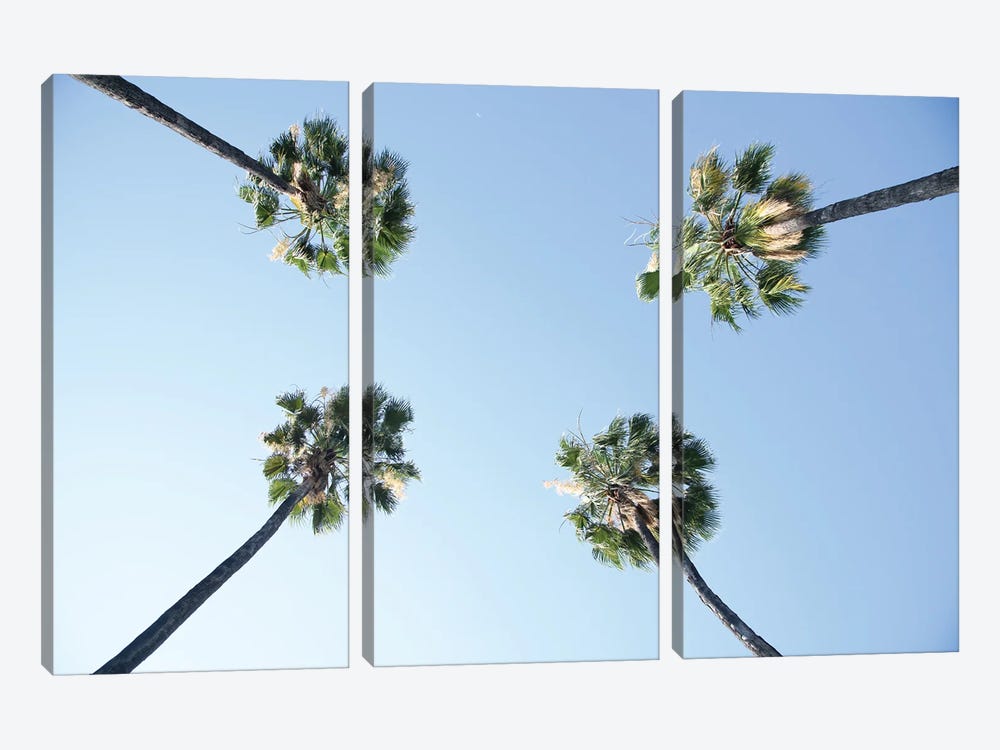 Under The Palm Trees I by Anita's & Bella's Art 3-piece Canvas Wall Art
