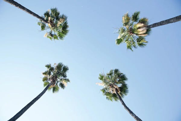Anita's & Bella's Art: Under The Palm Trees I by Anita's & Bella's Art
