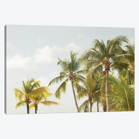 Caribbean Palm Trees Beach Vibes III Canvas Print #ABM533} by Anita's & Bella's Art Canvas Print