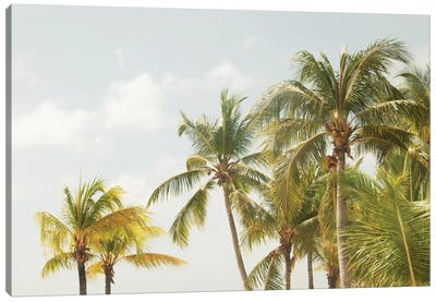 Caribbean Palm Trees Beach Vibes III Canvas Art Print - Anita's & Bella's Art