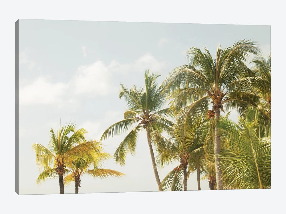 Caribbean Palm Trees Beach Vibes III by Anita's & Bella's Art 1-piece Art Print
