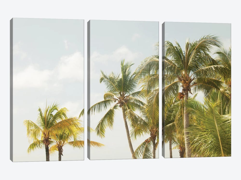 Caribbean Palm Trees Beach Vibes III by Anita's & Bella's Art 3-piece Canvas Print