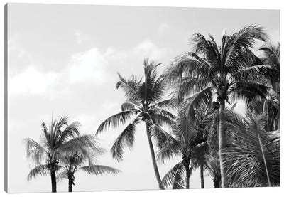 Caribbean Palm Trees Beach Vibes IV Canvas Art Print - Anita's & Bella's Art
