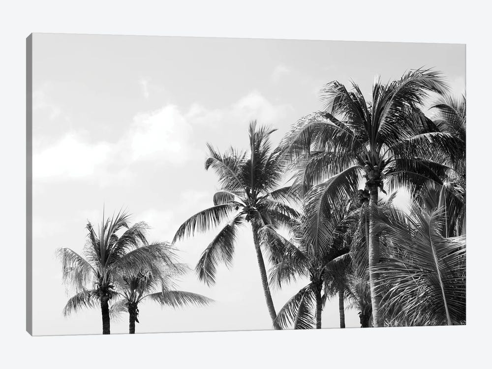 Caribbean Palm Trees Beach Vibes IV by Anita's & Bella's Art 1-piece Canvas Print