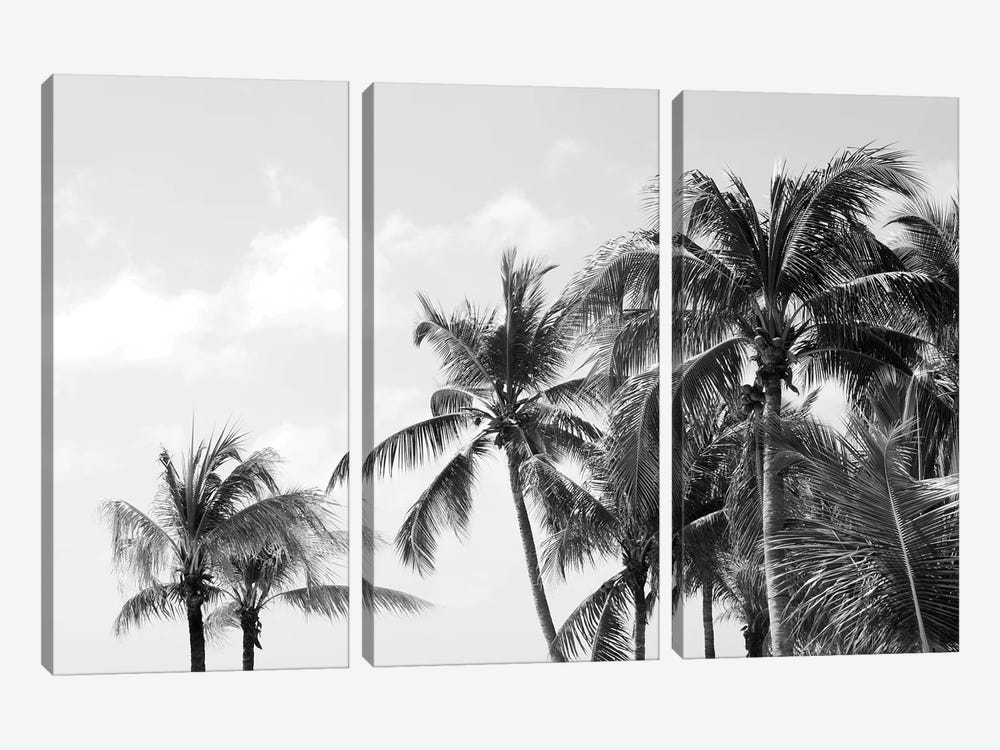 Caribbean Palm Trees Beach Vibes IV by Anita's & Bella's Art 3-piece Canvas Art Print