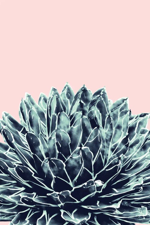 Blush Navy Blue Agave Chic I