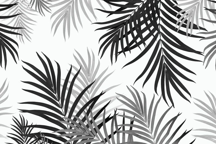 Palm Jungle II