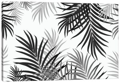 Palm Jungle II Canvas Art Print - Anita's & Bella's Art