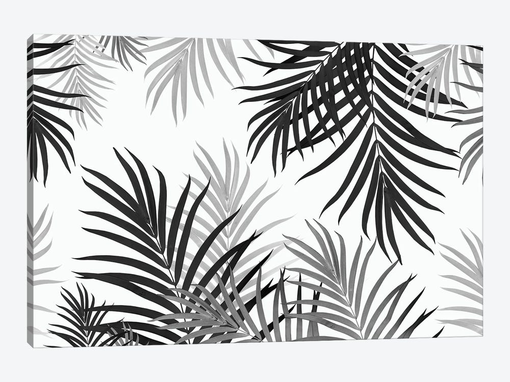 Palm Jungle II by Anita's & Bella's Art 1-piece Canvas Art Print