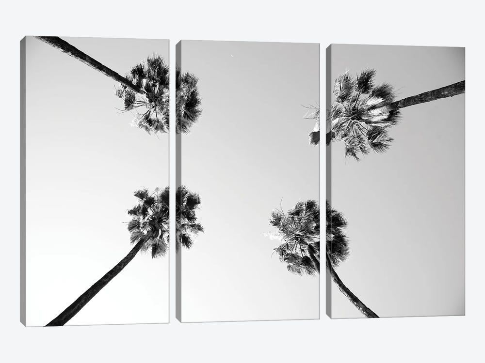 Under The Palm Trees IV by Anita's & Bella's Art 3-piece Canvas Print