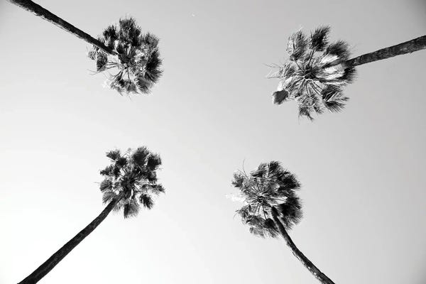 Anita's & Bella's Art: Under The Palm Trees IV by Anita's & Bella's Art