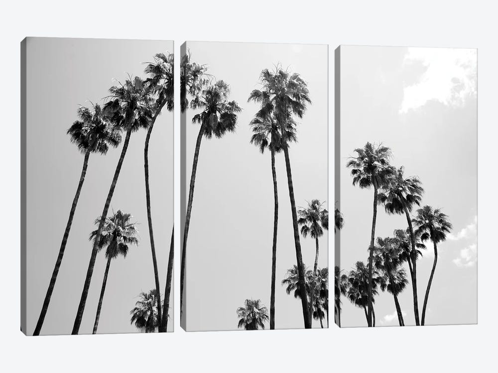 Under The Palm Trees V by Anita's & Bella's Art 3-piece Canvas Art