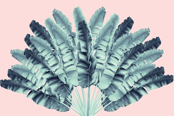 Anita's & Bella's Art: Blush Traveler Tree Dream I by Anita's & Bella's Art