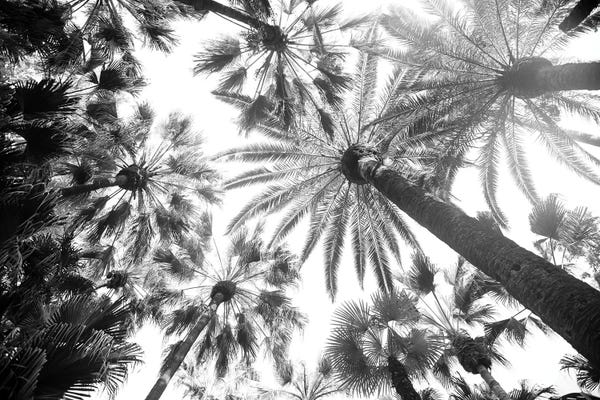 Anita's & Bella's Art: Under The Palm Trees VIII by Anita's & Bella's Art