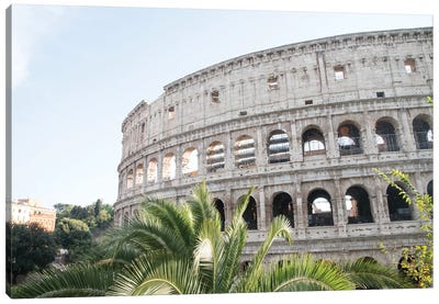Colosseum In Rome With Palm III Canvas Art Print - Ancient Ruins Art