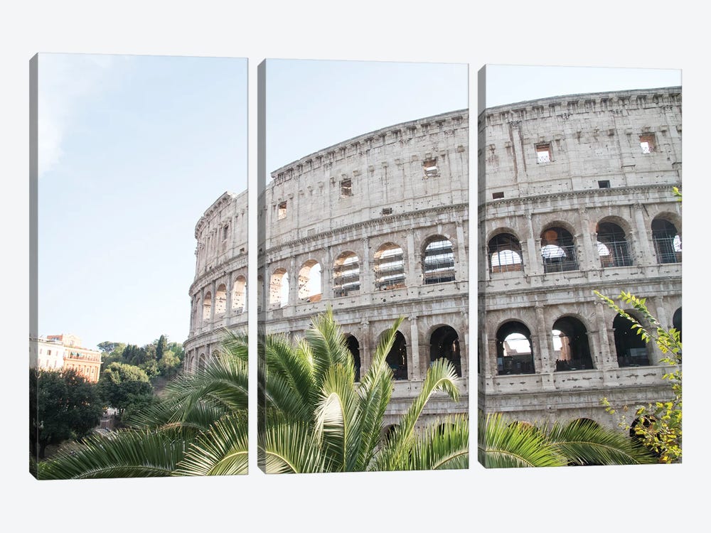 Colosseum In Rome With Palm III by Anita's & Bella's Art 3-piece Art Print