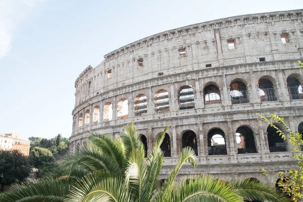 Ancient Ruins: Colosseum In Rome With Palm III by Anita's & Bella's Art
