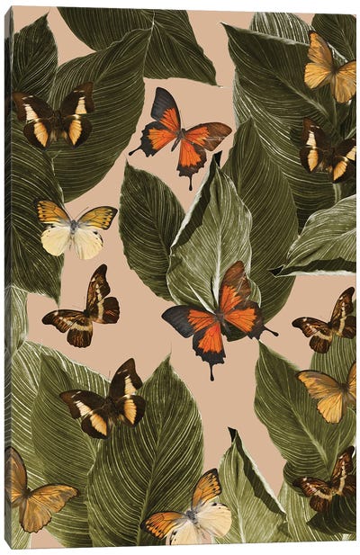 Butterfly Jungle Delight I Canvas Art Print - Anita's & Bella's Art
