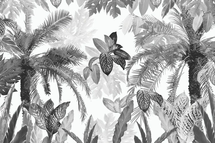 Modern Vintage Tropical Jungle Leaves II