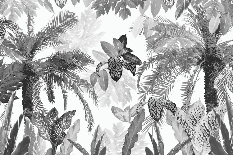 Modern Vintage Tropical Jungle Leaves II by Anita's & Bella's Art wall art