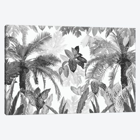 Modern Vintage Tropical Jungle Leaves II Canvas Print #ABM628} by Anita's & Bella's Art Canvas Art Print