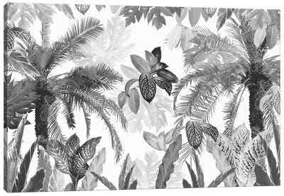 Modern Vintage Tropical Jungle Leaves II Canvas Art Print - Anita's & Bella's Art