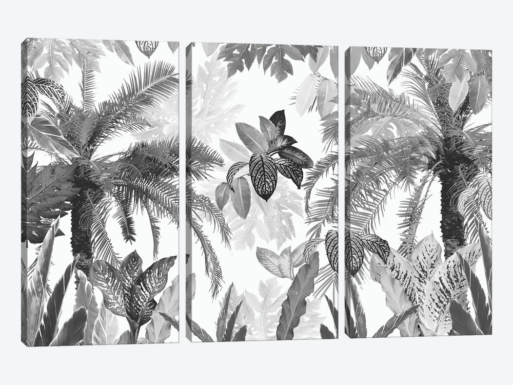 Modern Vintage Tropical Jungle Leaves II by Anita's & Bella's Art 3-piece Canvas Print
