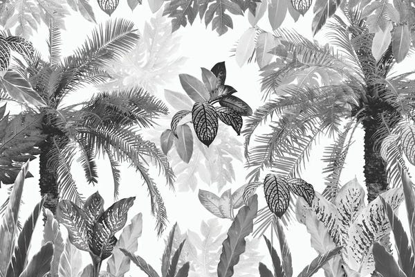Black & White Florals: Modern Vintage Tropical Jungle Leaves II by Anita's & Bella's Art