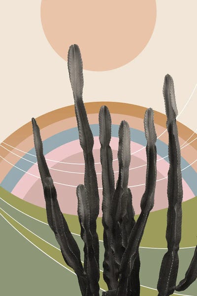 Cactus In The Desert II by Anita's & Bella's Art framed canvas print