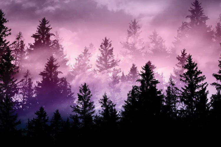 Unicorn Forest Dream I by Anita's & Bella's Art wall art