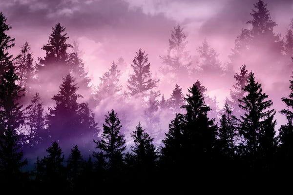 Anita's & Bella's Art: Unicorn Forest Dream I by Anita's & Bella's Art