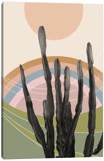 Cactus In The Desert II Canvas Art Print - Anita's & Bella's Art