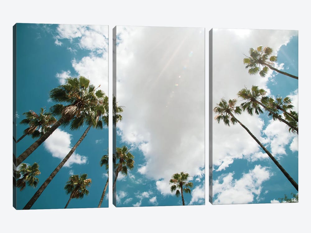Under The Palm Trees XIII by Anita's & Bella's Art 3-piece Canvas Art