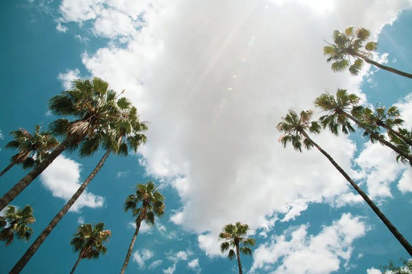 Anita's & Bella's Art: Under The Palm Trees XIII by Anita's & Bella's Art