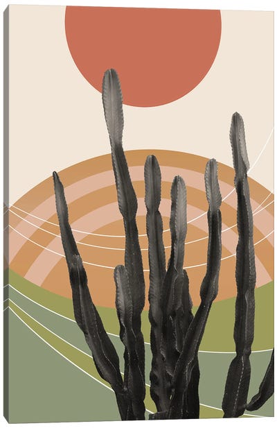 Cactus In The Desert III Canvas Art Print - Anita's & Bella's Art