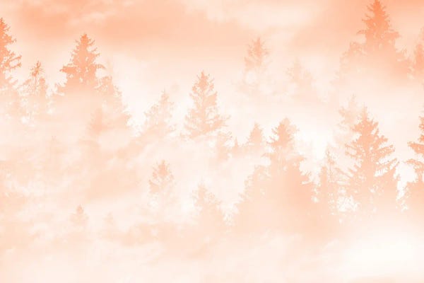 Anita's & Bella's Art: Peach Fuzz Forest Dream I by Anita's & Bella's Art