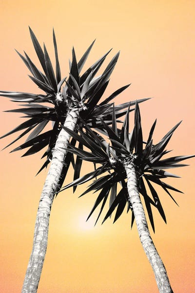 Cali Summer Vibes Palm Trees II by Anita's & Bella's Art framed canvas print