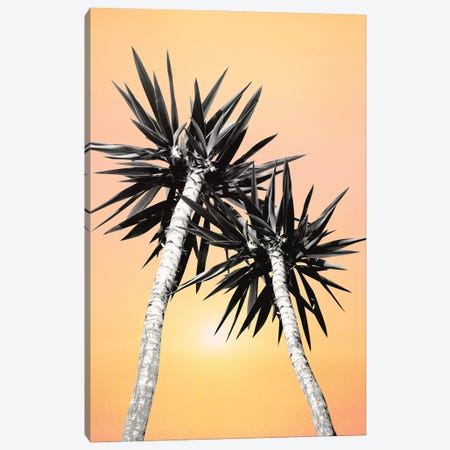 Cali Summer Vibes Palm Trees II Canvas Print #ABM68} by Anita's & Bella's Art Canvas Print