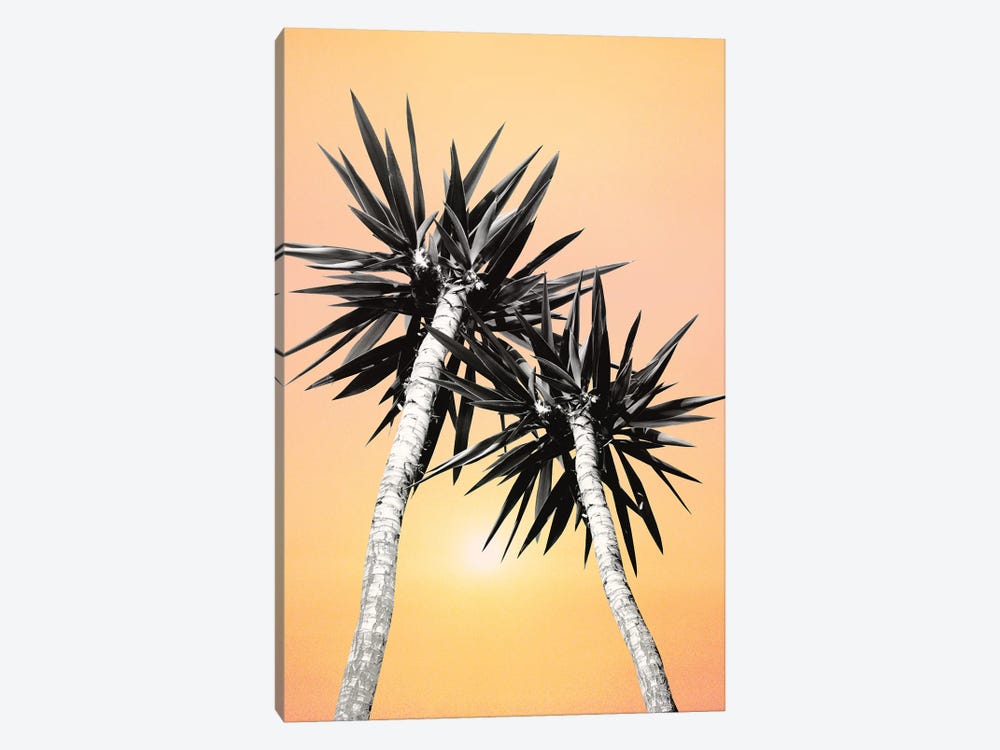 Cali Summer Vibes Palm Trees II by Anita's & Bella's Art 1-piece Canvas Art Print