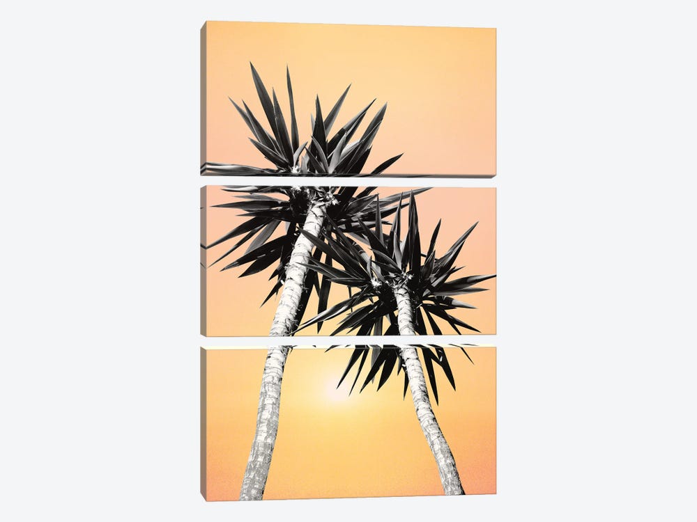 Cali Summer Vibes Palm Trees II by Anita's & Bella's Art 3-piece Canvas Print