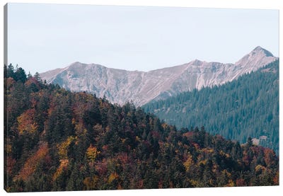 Mountain Tree Bliss III Canvas Art Print - Mountains Scenic Photography
