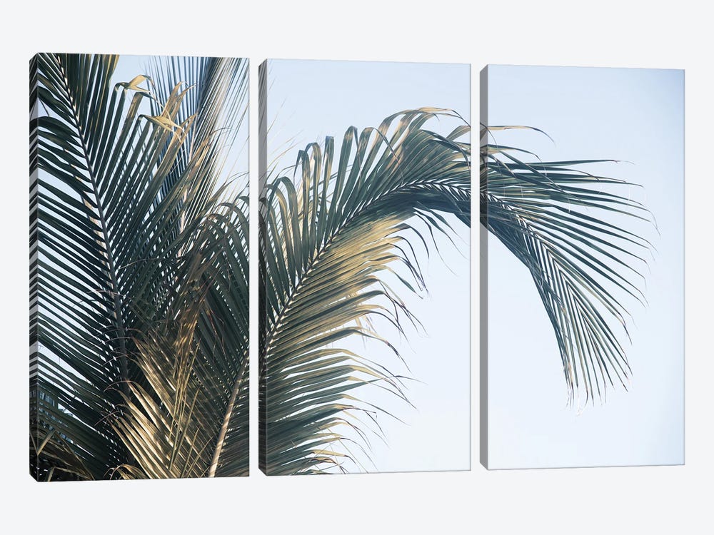 Caribbean Palm Leaves I by Anita's & Bella's Art 3-piece Canvas Art Print