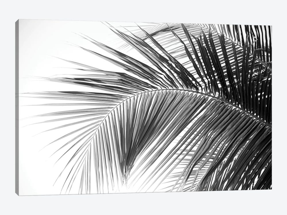 Caribbean Palm Leaves Dream II by Anita's & Bella's Art 1-piece Canvas Art Print