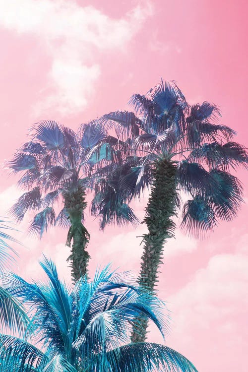 Caribbean Palm Trees Summer Vibes I