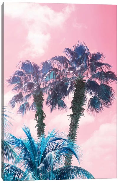 Caribbean Palm Trees Summer Vibes I Canvas Art Print - Sunset Shades