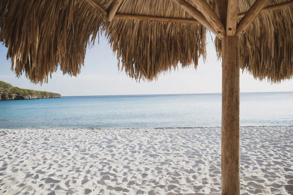 Beach Lover: Caribbean Beach Bliss III by Anita's & Bella's Art