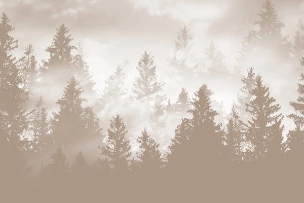 Anita's & Bella's Art: Beige Forest Dream I by Anita's & Bella's Art