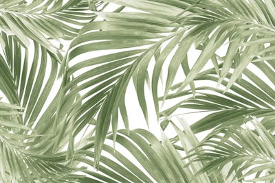 Lush Caribbean Palm Collage I by Anita's & Bella's Art framed wall art